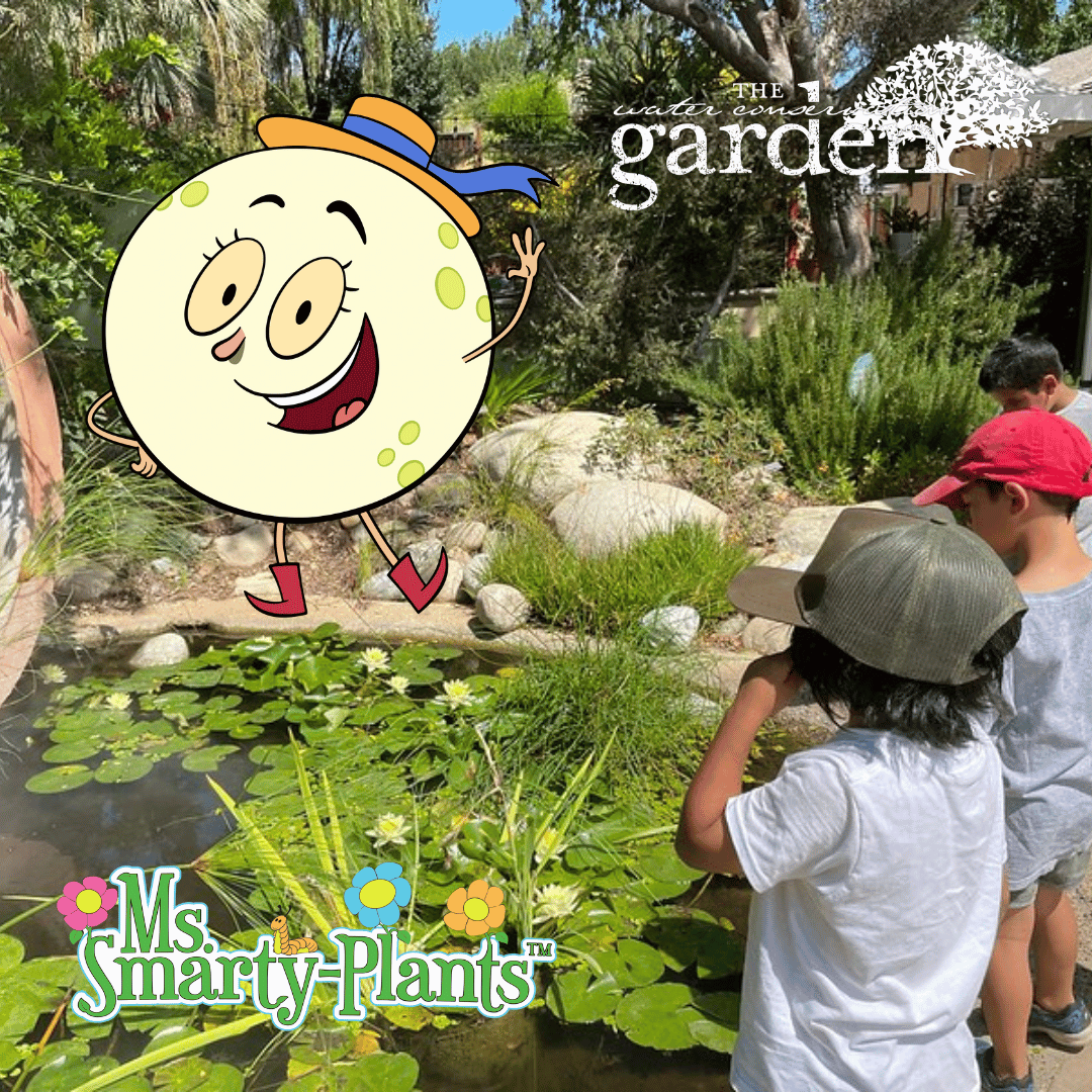 There is still time to reserve a spot to welcome our Friend Luna. Ms. Smarty-Plants™ friend Luna will be at The Garden on Free Day Friday, 9/8, 10am-12pm. 

loom.ly/8ItT9GY

#kpbskids #msp #mssmartyplantsandfriends #thegarden #wcg #freedayfriday
