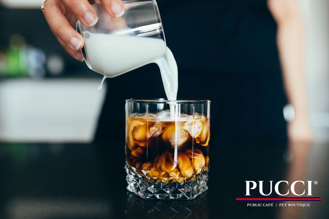 puccicafe's tweet photo. Iced Coffee is a summer mood itself.  ❤️ ☕  https://t.co/vuQNbJLls4

#puccicafe #lacenterra #icedcoffee #cafepucci #lacenterradogs https://t.co/q3HrvAfsMu