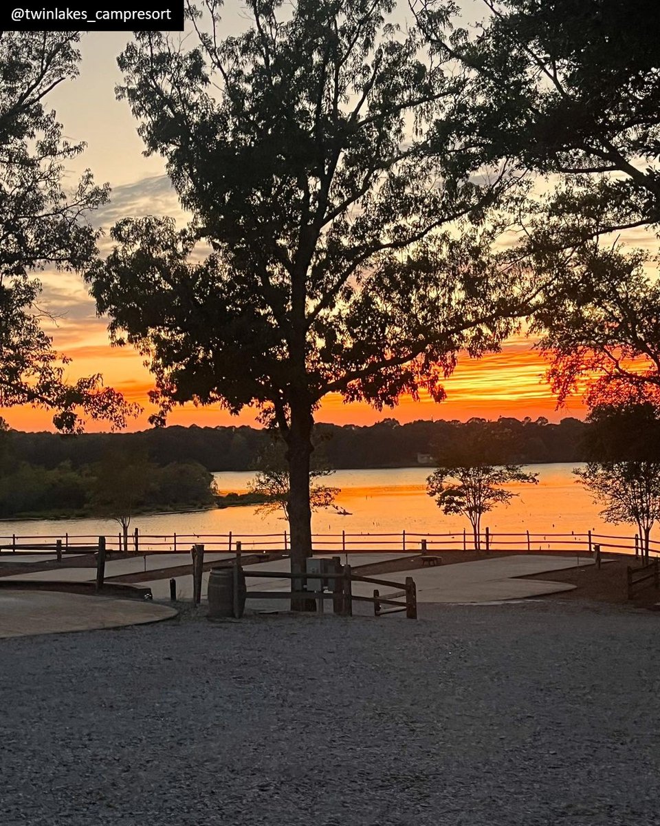 restrelaxroi's tweet photo. W-😮-W, beautiful sunset!

Repost @twinlakes_campresort: Make your next memories here!! 🔥🪵

•Call or book online today!
#sunset #flsunset #prettysunset

#rvpark #rvresort #rvcampground #rv #rving #gorving #rvlife https://t.co/eDdJKLXaGU
