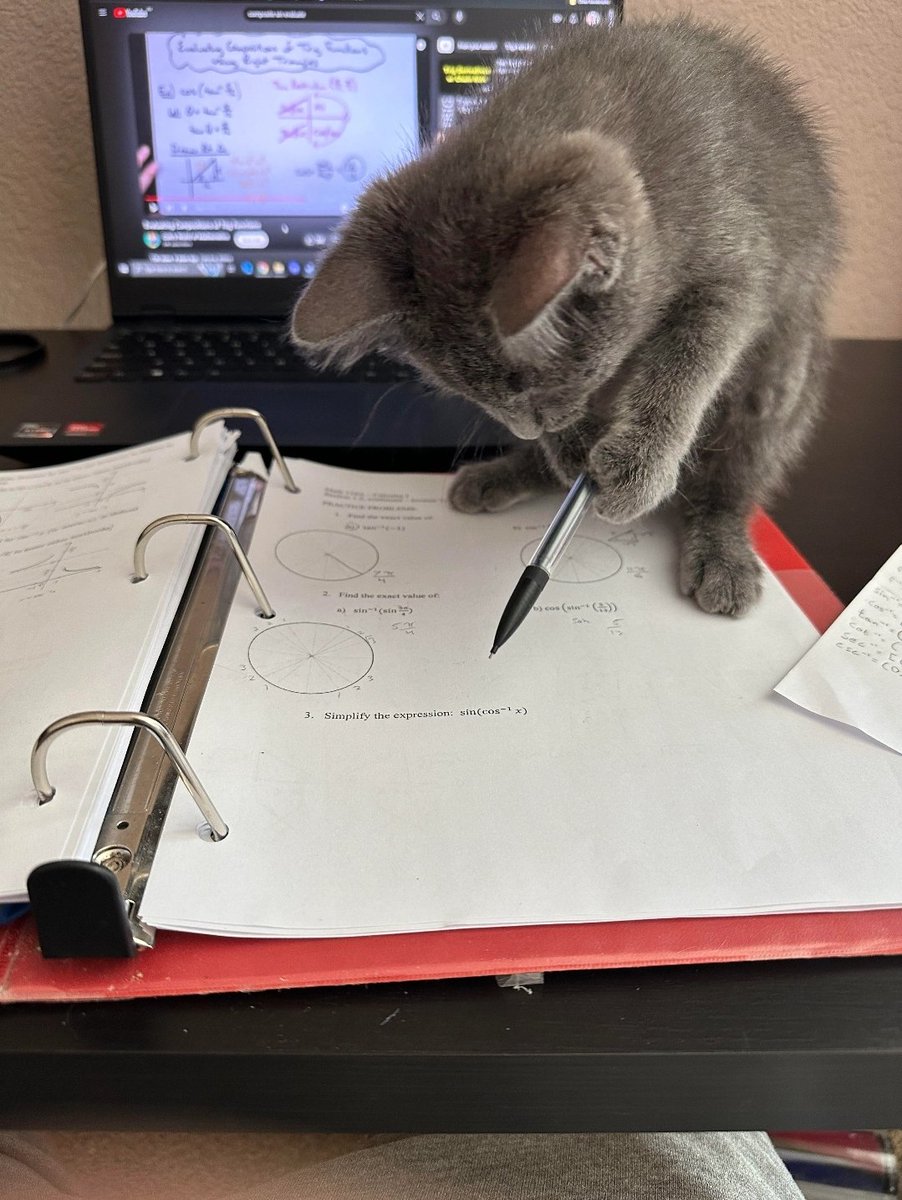 DontShowYourCat's tweet photo. private tutor https://t.co/GTUMGak8Gl