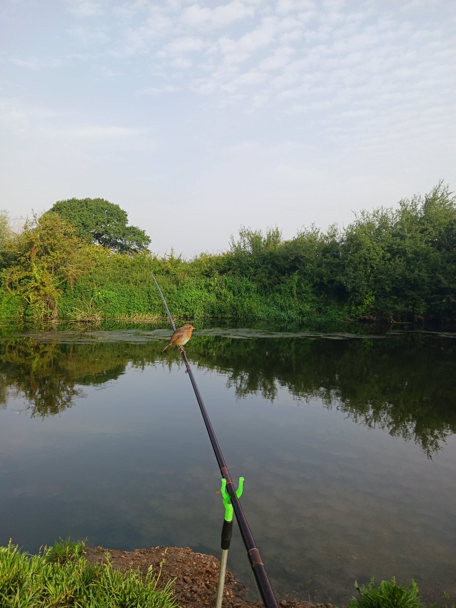 Didn't catch a fish but this guy said hello #Dorset #riverstour