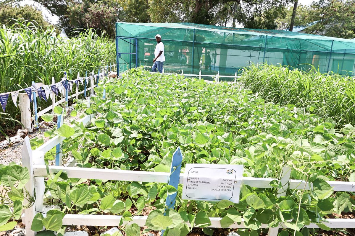 Our President, <a href="/WilliamsRuto/">William Samoei Ruto, PhD</a>, showed a great deal of exemplary leadership in bringing together leaders from Africa to come up with a clear position to tackle climate change, the greatest challenge of our generation. 

As the President clearly indicated, developed Nations must act