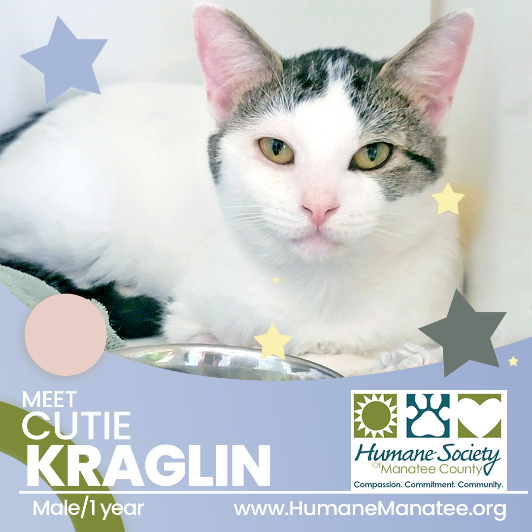 Humane Soc. Manatee tweet media