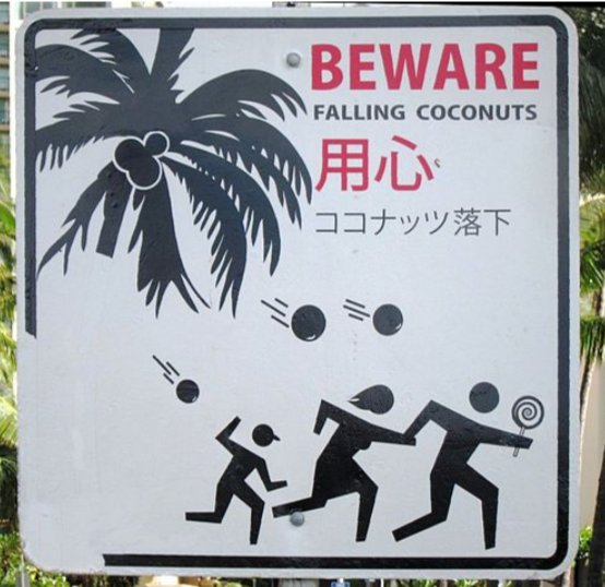 RolodexRex's tweet image. #ecoco #COCONUT @Diamondmarc10