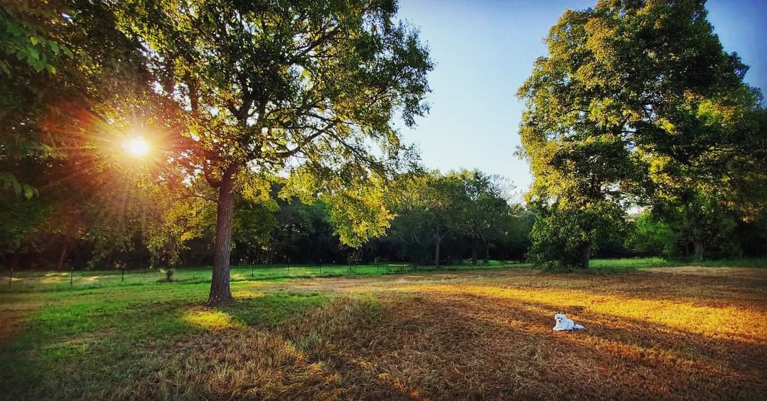 kinseyatoz's tweet image. &quot;Whatever is good and perfect is a gift coming down to us from God our Father, who created all the lights in the heavens. He never changes or casts a shifting shadow.&quot; James 1:17 NLT #allfromgod #godneverchanges