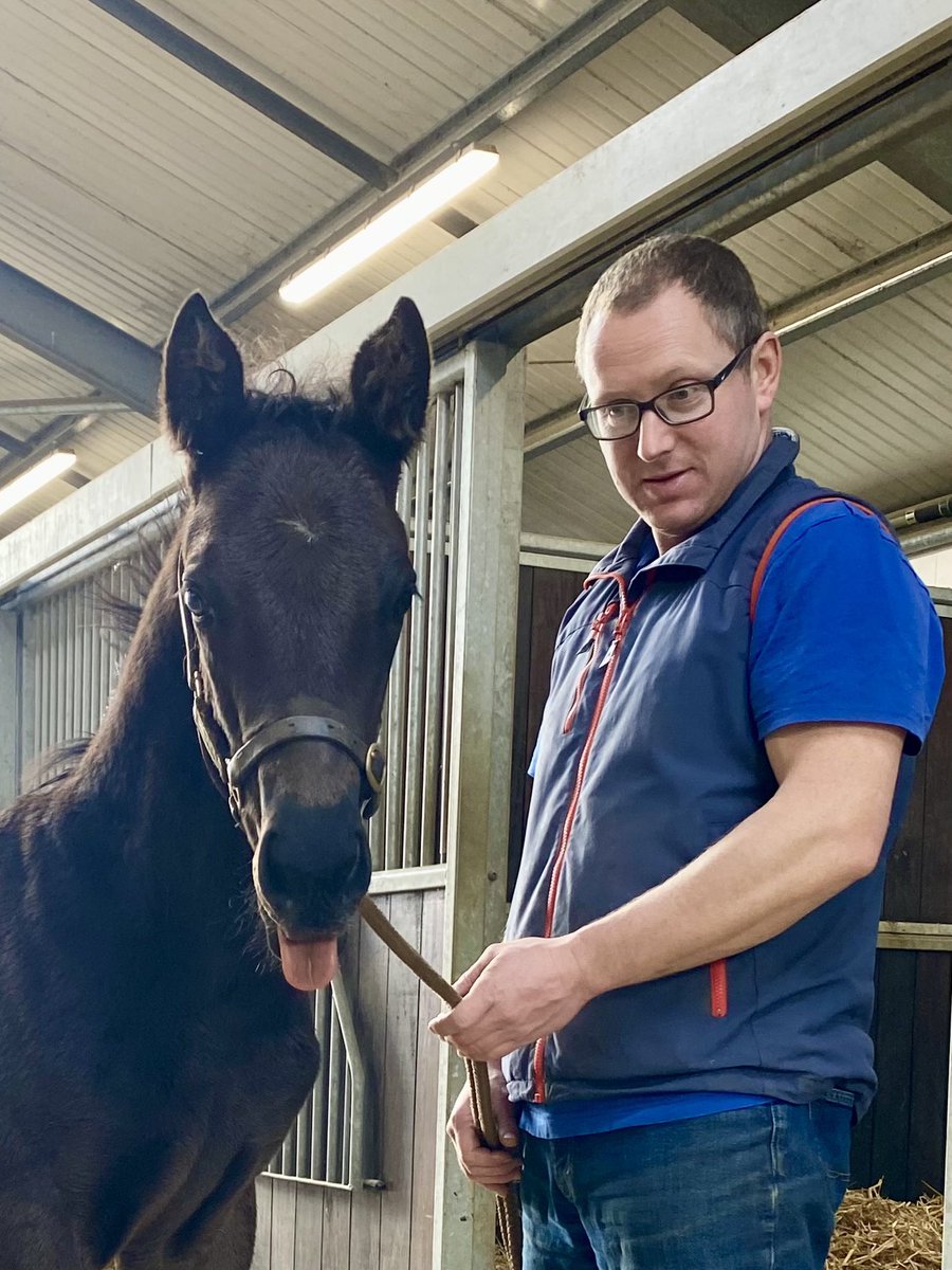 agentjinks's tweet image. 5 of the most fantastic years spent @ParkwoodStud from raising a group horse to our wedding day. We have met some amazing people along the way, we will miss you all. Looking forward to the future @knockbaunBS 🥰