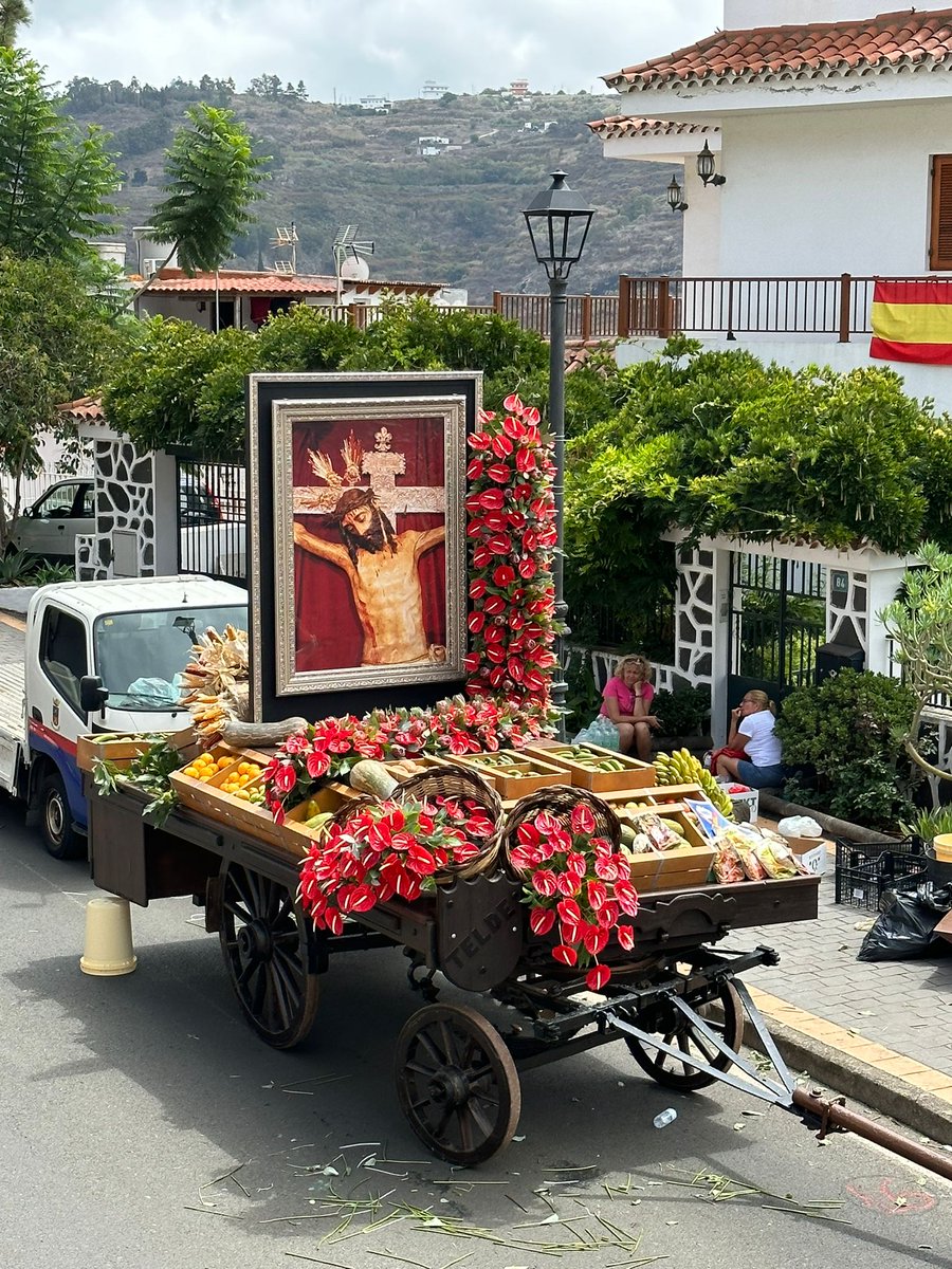 🌲| 14.41h. | #SentirElPino Y así de bonita ha quedado la carreta de Telde después de tres horas de trabajo. Gracias a todos los que lo han hecho posible. ¡Todo listo para la ofrenda a Nuestra Señora del Pino!😍
