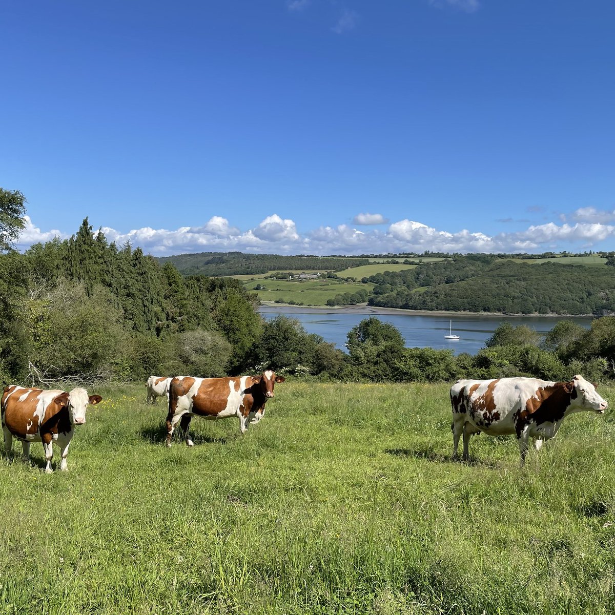 Musée de l'école (29) tweet media
