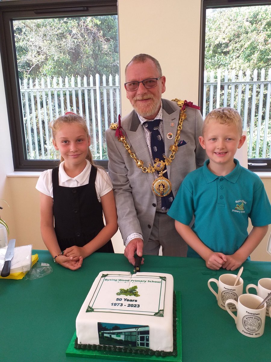 Bysing Wood Primary tweet media