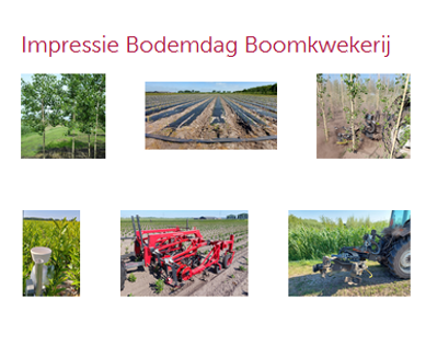 DelphyNL's tweet photo. Delphy organiseert woensdag 20 september 2023 een Demodag Boomteelt bij Kwekerij Hendrickx in Moerstraten met 's ochtends een workshop rondom de Populier; ‘s middags een carrousel met demonstraties en workshops en spuitlicentieverlenging. Graag aanmelden https://t.co/fy7UdNVRVQ https://t.co/uOdlk7c9vM