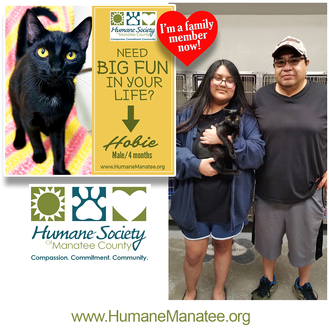 Humane Soc. Manatee tweet media