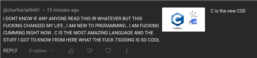tsoding's tweet photo. Using C instead of CSS is a truly life changing experience https://t.co/8n03f5gQGD