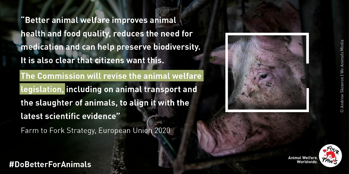 📢 A message to the @EU_Commission 

In 2020 you recognised the need to change the ways in which animals are treated in food systems.Billions of farm animals are suffering across the EU.

Keep your promise & revise the legislation.

#EU4AnimalWelfare #DoBetterForAnimals