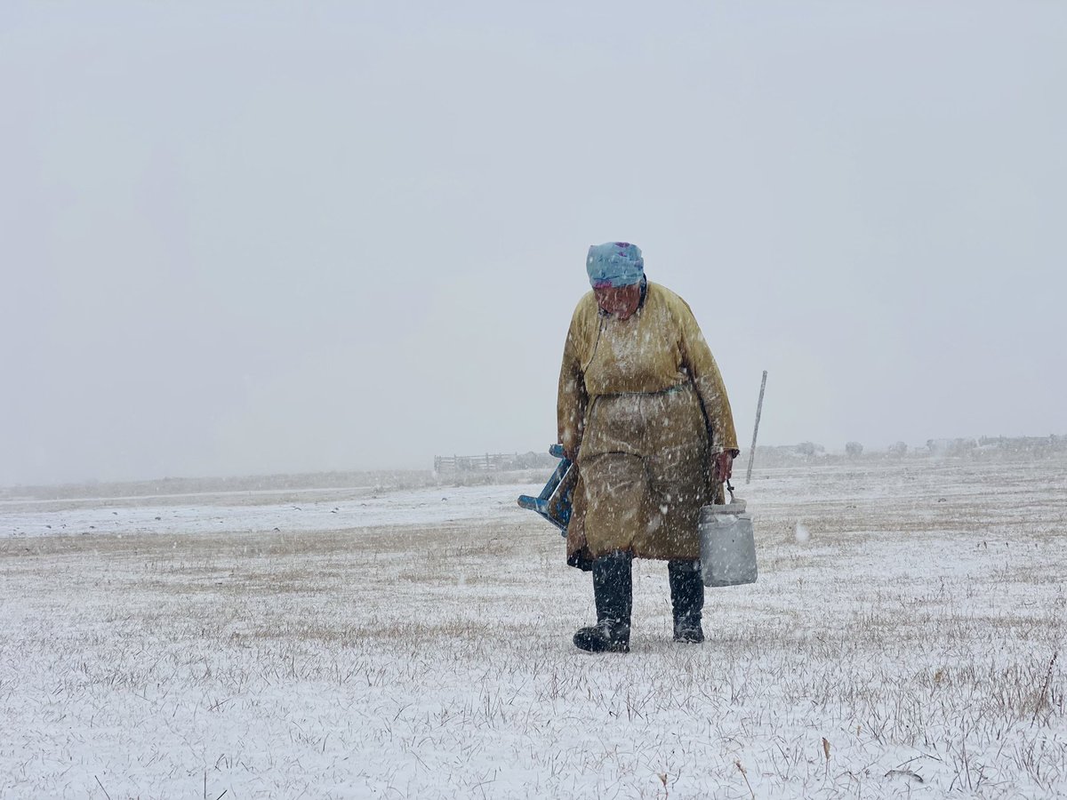 Тээр намар Архангай аймгийн Цахир суманд явж байгаад нээх цастай өглөө санамсаргүй утсаараа энэ зургийг буулгаж билээ. Их олон юм харуулсан зураг байна гэж хүмүүс хараад хэлдэг. 

Өнөөдөр энэ зургийг гадны нэг сэтгүүл нийтлэе гэв. Сайхан санагдав.