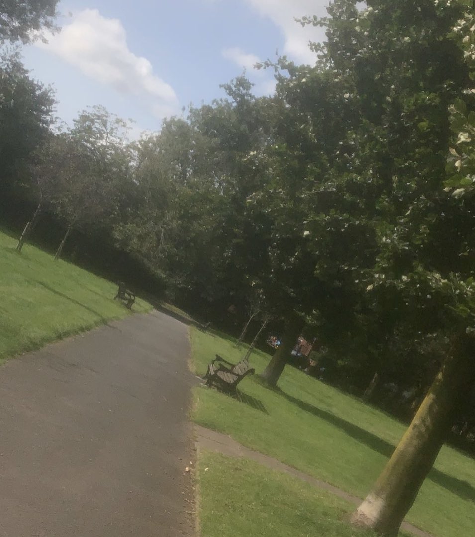 devocoates24's tweet image. Lovely day