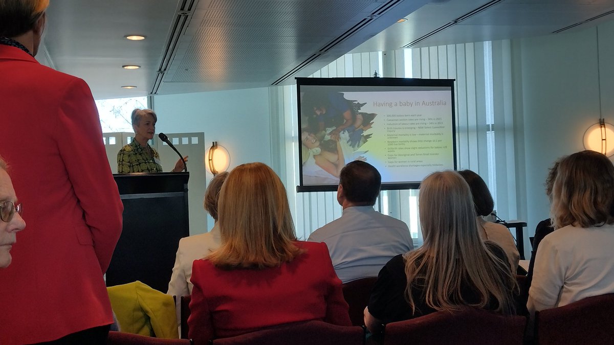 Fabulous launch of Parliamentary Friends of Maternal Health today Parliament House Canberra Helen Haines, Alicia Payne, Llew OBrien #maternalhealth #mattersmaternal