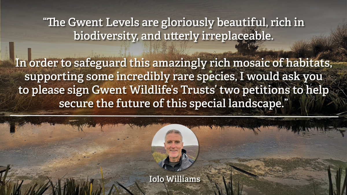 TV naturalist Iolo Williams is backing our campaign to save #GwentLevels, describing it as “gloriously beautiful, rich in biodiversity, and utterly irreplaceable.” Please add your voice: gwentwildlife.org/savethegwentle…