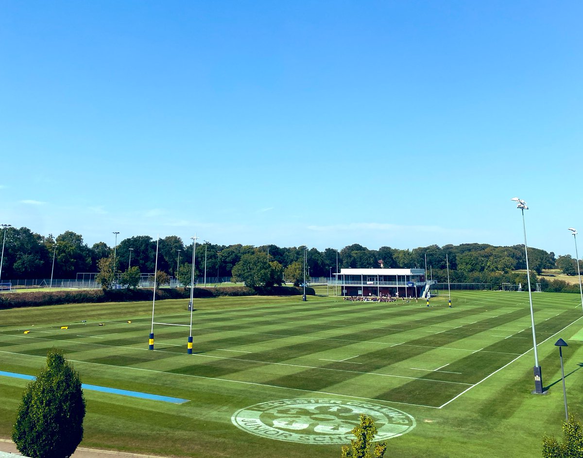 Looking good from here ☀️🌱🏉