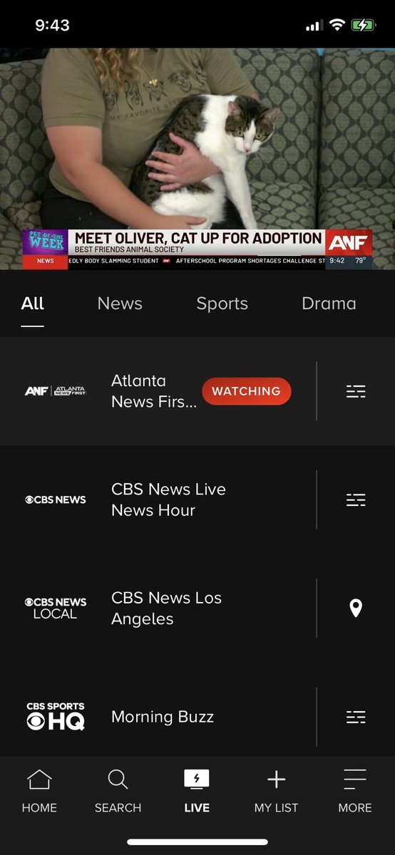 Leslie T Holland tweet media