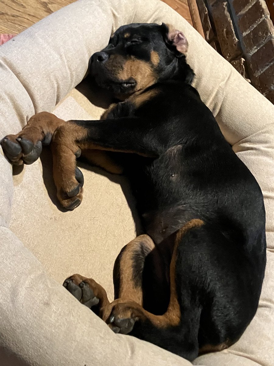 C S Marshall tweet media