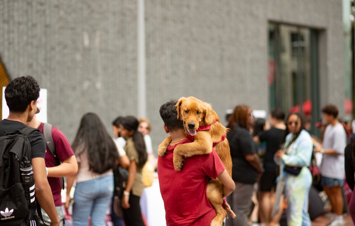 TempleUniv's tweet photo. if i can't bring my dog, i'm not going 🐶 #DogsofTU https://t.co/gn4ZjPoYQI
