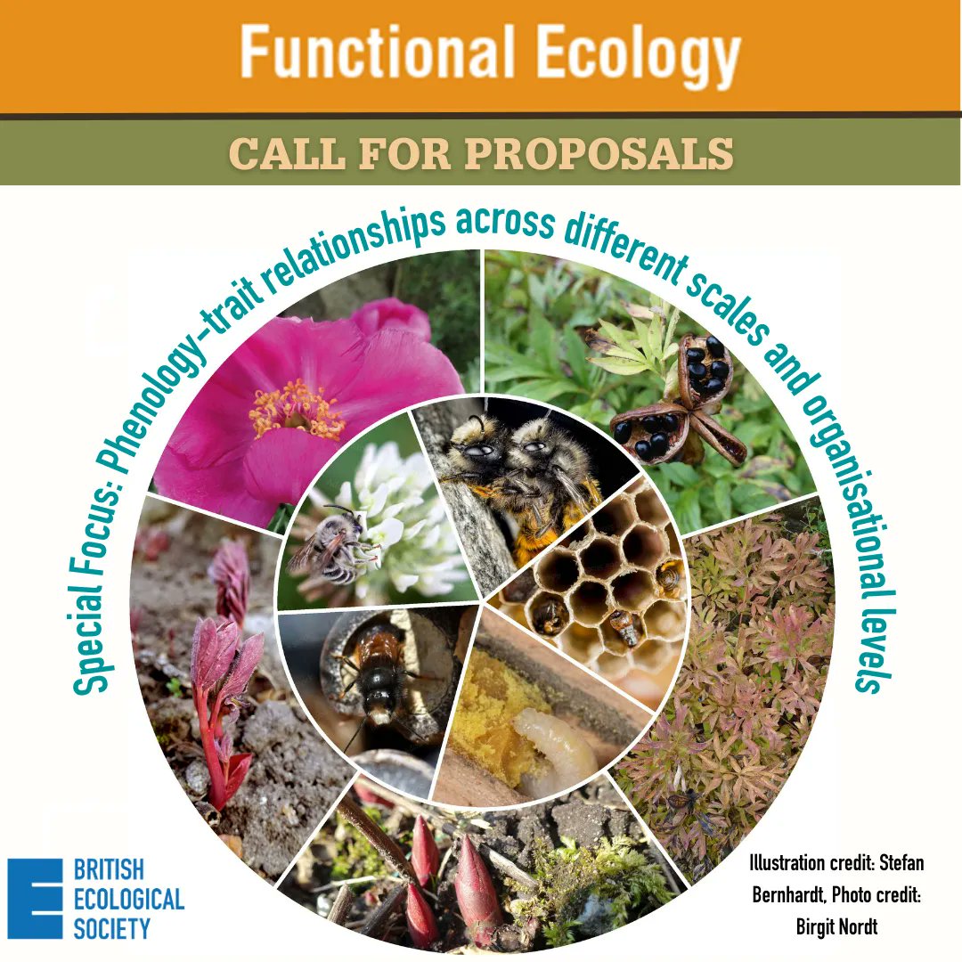 FunEcology's tweet photo. 🚨Open call for proposals🚨

🌺Functional Ecology is seeking proposals for a Special Focus on "Phenology-trait relationships across different scales and organisational levels"🐝

⏰31 October, 2023

Check out more info &amp; submit your proposal here⬇️

https://t.co/C8zI7dgjli https://t.co/cIq5D7Yy9V
