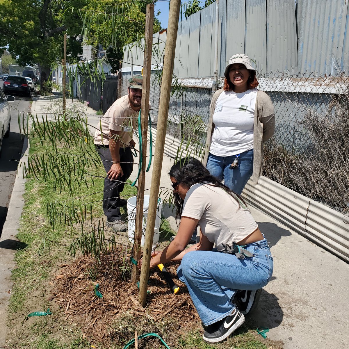 Ready to have a major impact on growing LA's urban tree canopy?

Recruitment is underway for an Urban Forestry Manager to join our team.

More information on our website: northeasttrees.org/work-with-us.