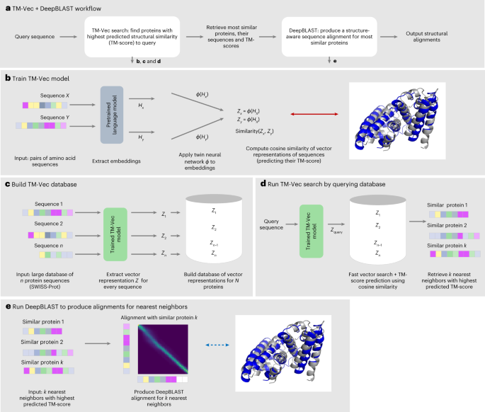 Protein remote homology detection and structural alignment using deep learning go.nature.com/3LfNutP