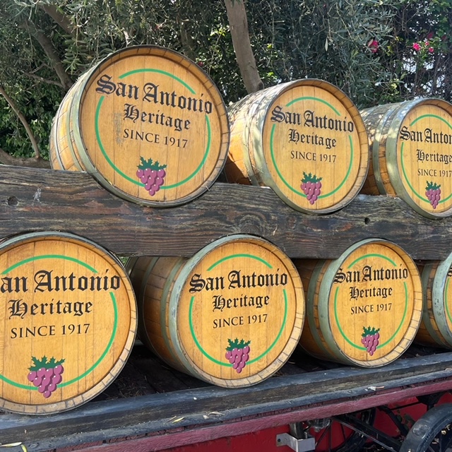 It was so much fun filming a segment about the IAMLA's @tasteofitalyla yesterday with <a href="/nbc/">NBC Entertainment</a> for the show <a href="/nbccalive/">NBC CALive</a> with <a href="/jessicavilchis/">vilchis</a> and our event partners @sanantoniowinery @semolinaartisanalpasta and @dinapolitomatoes! See you at Taste of Italy on September 23!