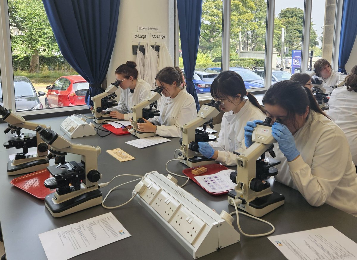Lab #4 of the Edinburgh Immunology EDI Summer School 🏫

Staining &amp; microscopy of student prepared blood smears and spleenocyte smears. 🔬👀

<a href="/SBSatEd/">Biological Sciences | University of Edinburgh</a> <a href="/britsocimm/">British Society for Immunology</a>