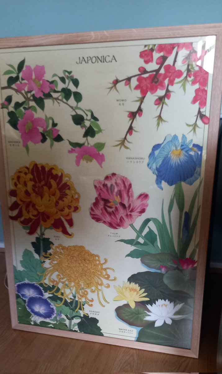 Picked up this glorious Japonica print from a shop in Haight and Ashbury, San Francisco for $7.50! Carried it back all the way home safely rolled up. Just bought a frame for it; now where to put it? 🌸