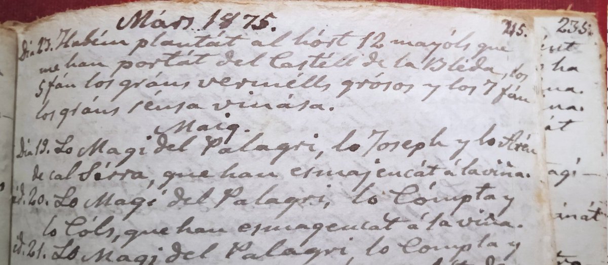 @EsteveMaite @VinselCep Podria ser la varietat que en aquesta anotació del 1875 descriu com a 'fan los gráns vermells grósos'?
🧐🤷🏻‍♂️