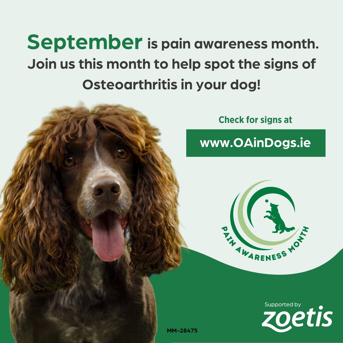 ArkVetcare tweet media