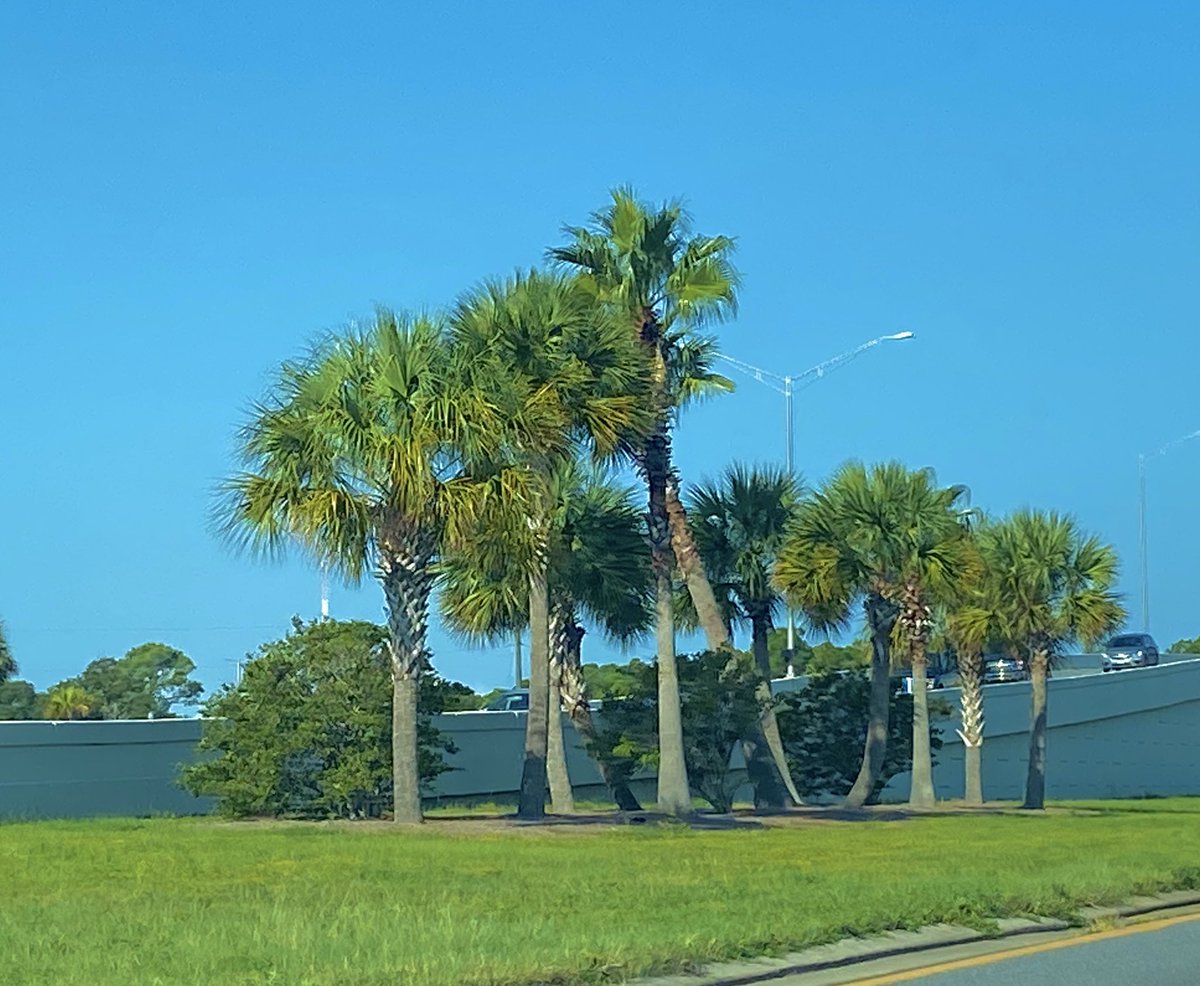 Good morning everyone! Have a great Thursday! 🌴🏝