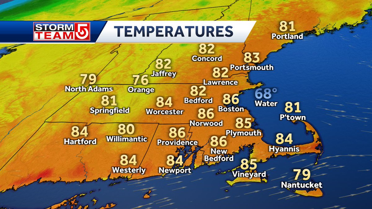 Cindy Fitzgibbon tweet media