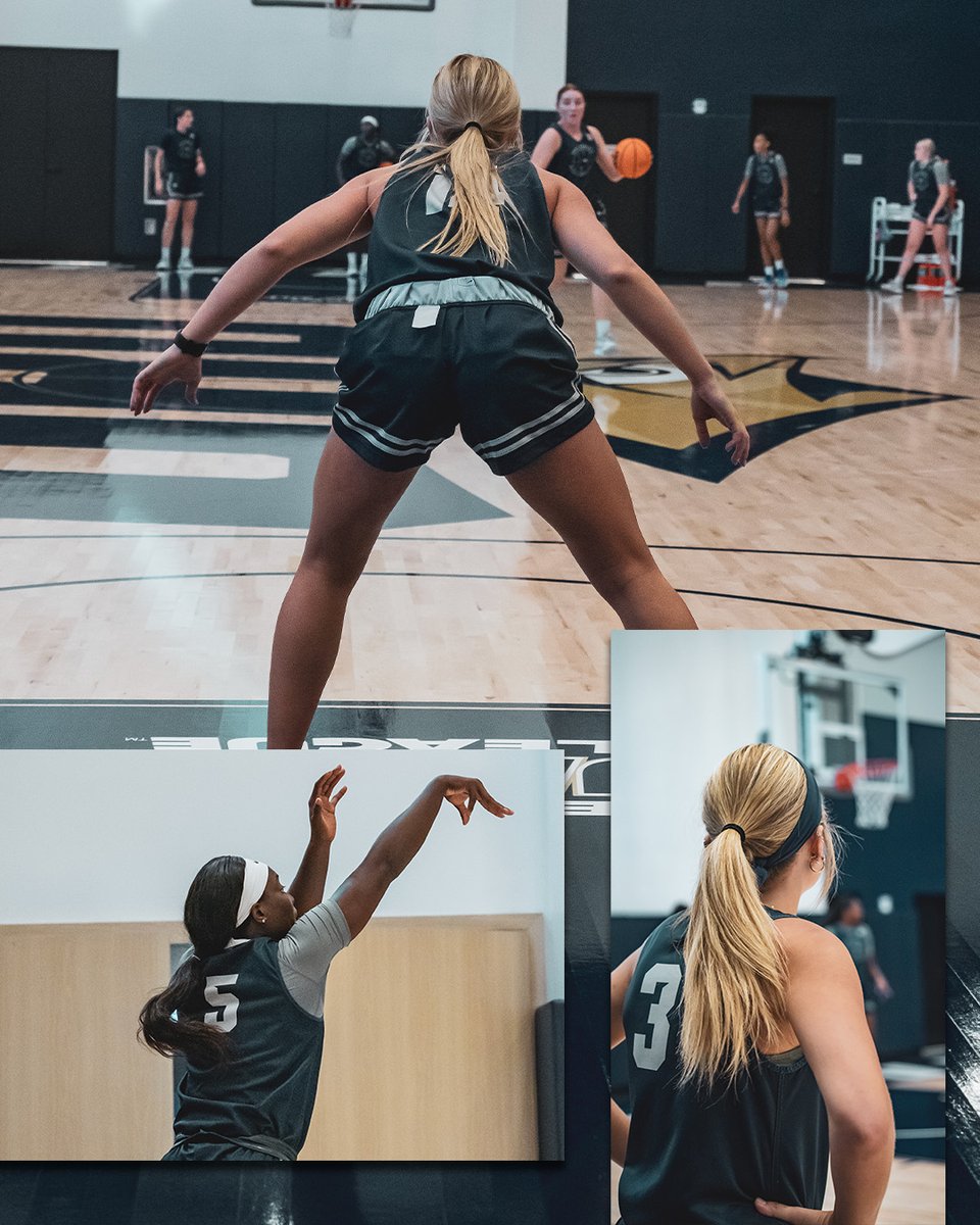 @seedsworkouts tweet media