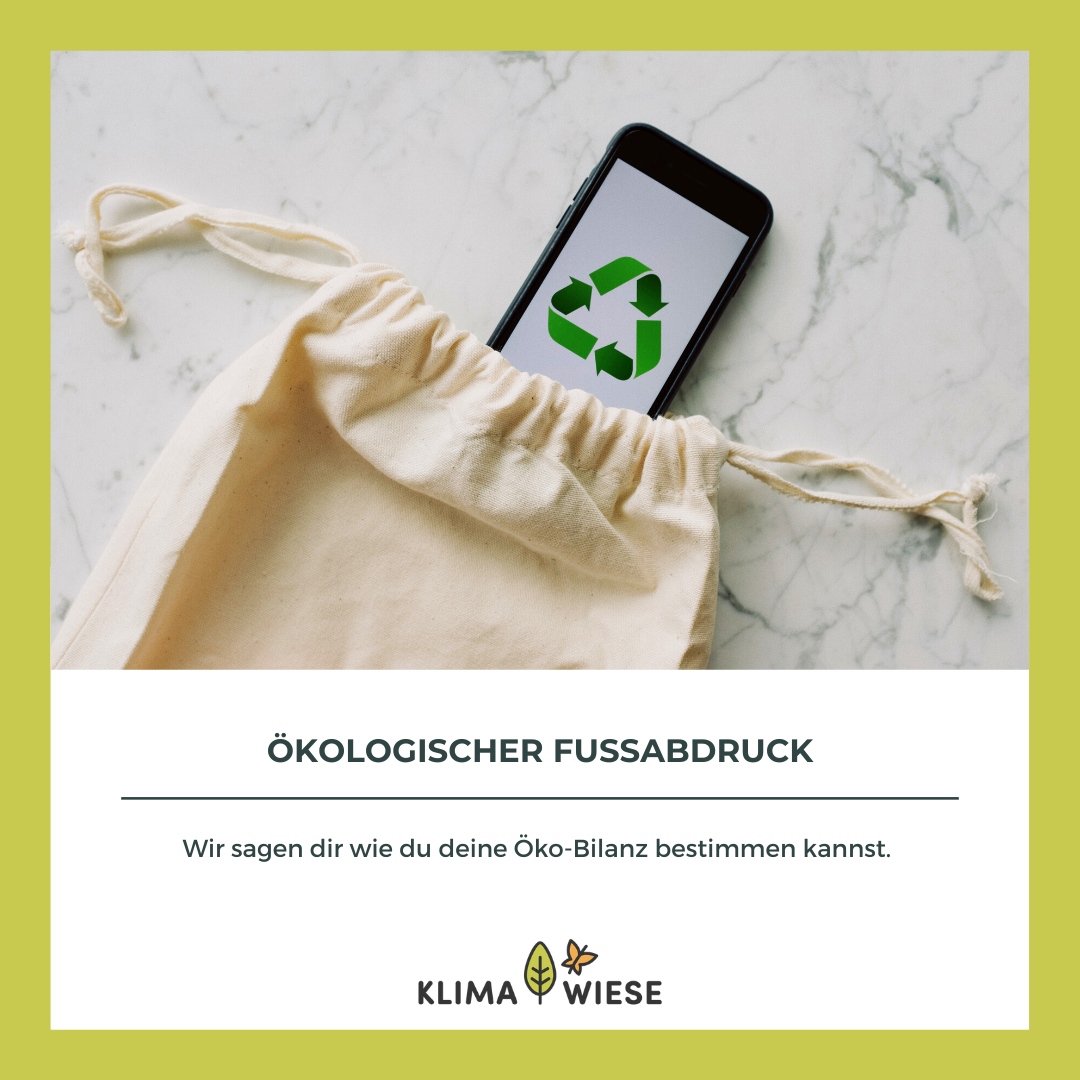 Wenn es um den #Klimawandel und generell den #Umweltschutz geht, fällt der Ausdruck “ökologischer Fußabdruck” immer wieder. 

In unserem Blogartikel sagen wir dir, wie du deinen #ökologischenFußabdruck bestimmen kannst.

klimawiese.de/oekologischer-…
