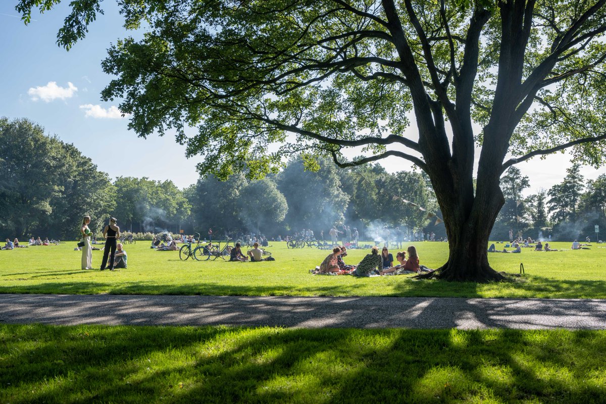 Gemeente Rotterdam tweet media