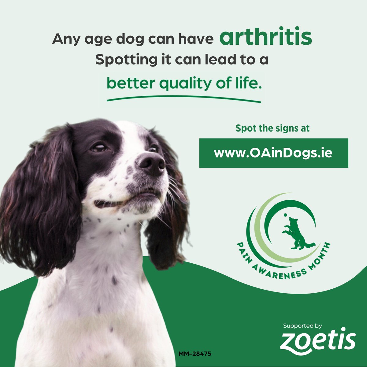 ArkVetcare tweet media