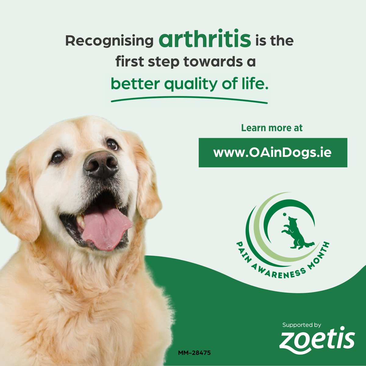 ArkVetcare tweet media