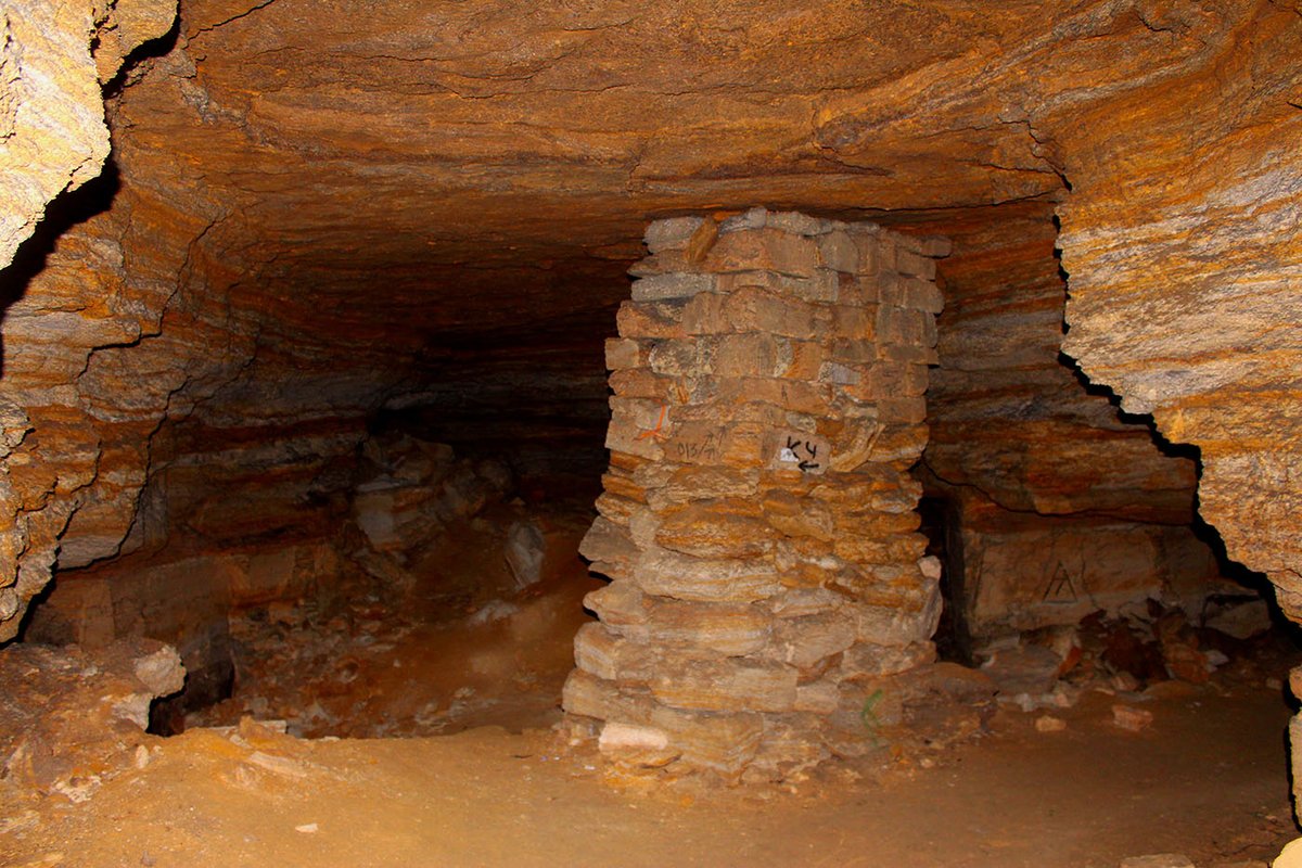 Ex Utopia tweet media