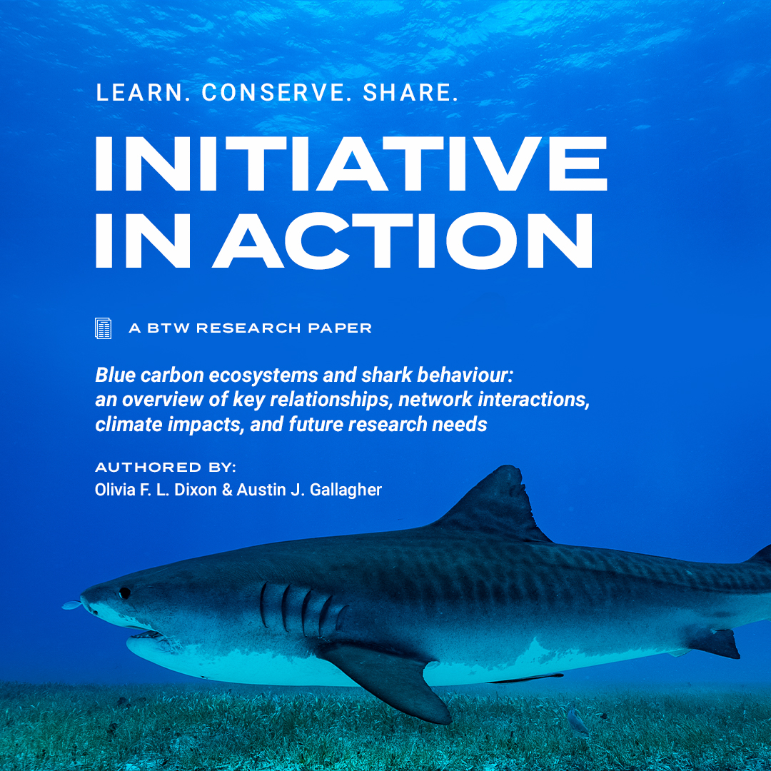 Beneath The Waves tweet media