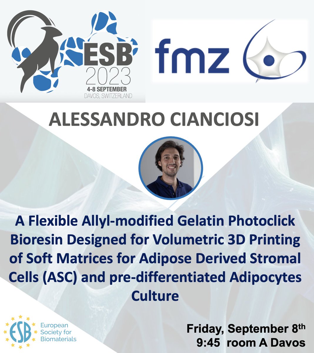 Biofabrication Würzburg tweet media