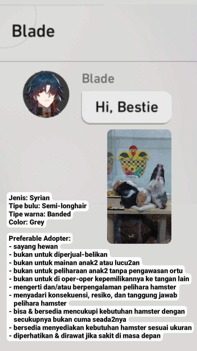 jeonuphoria's tweet photo. Halo! Aku mau open adopt hamsterku yg lucu gemoy &amp; agak dajjal. Kenapa agak dajjal? Karena mukanya bodoh &amp; ngeselin trus gak bisa diem &amp; suka bertingkah aneh.
Ada yang tertarik?

PLS HELP BANGET!😭🙏🏻 

#OPENADOPT #FreeAdopt #hamster https://t.co/nZlvHl8nNl