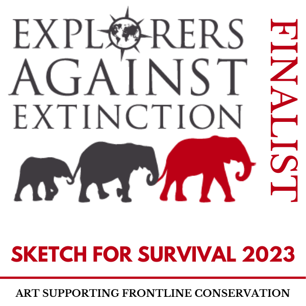 ArtistJVC's tweet photo. So excited that my picture 'Unseen Forces' is a finalist in the 'Wild Spaces' category of the @realafrica #SketchForSurvival competition.  All finalists artwork will be on exhibition, then auctioned online to support wonderful conservation charity projects https://t.co/LQJFtJLut8 https://t.co/kukXrZWrbV