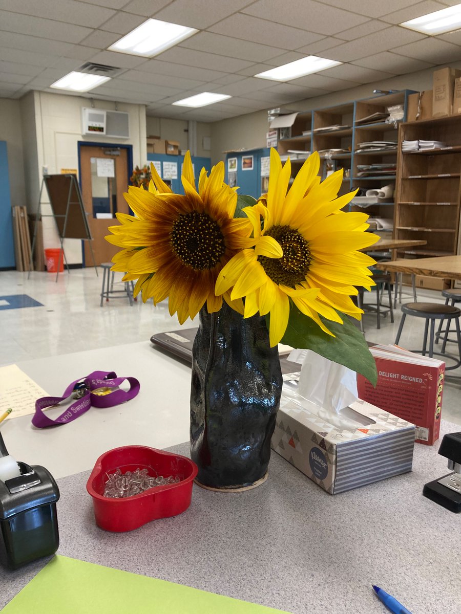 Ann Margaret Lyons tweet media