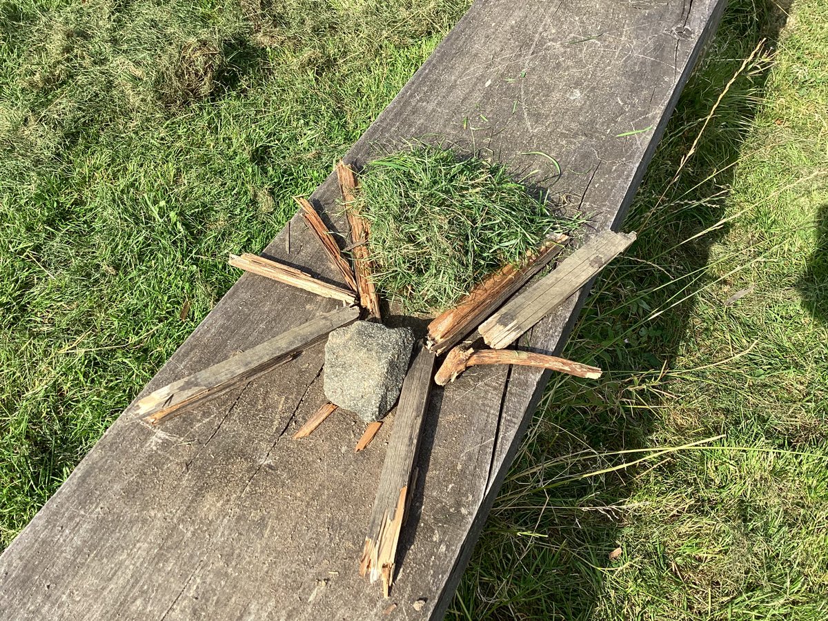 carmondean_ps's tweet photo. P4 have been looking at spiders and how they construct their webs. Using our STEM skills, we were able to reconstruct their web shapes using wool in class and then we went on a web hunt and used outdoor natural materials to create our own spider shapes. A webtastic day! https://t.co/eqxZ8qJNu3