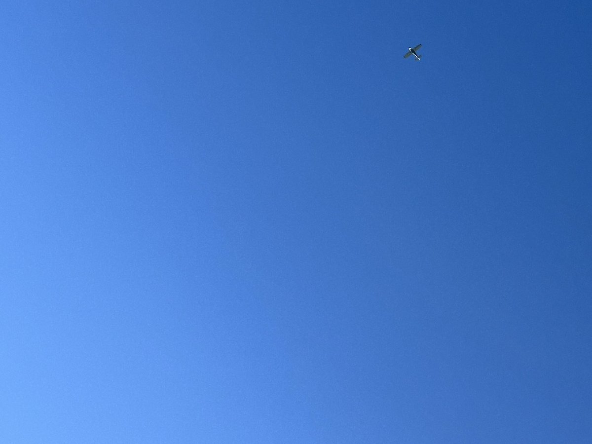 Erica van Leeuwen-de Bruijn tweet media