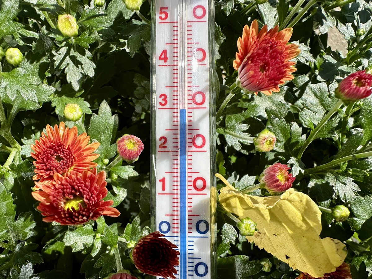 Erica van Leeuwen-de Bruijn tweet media