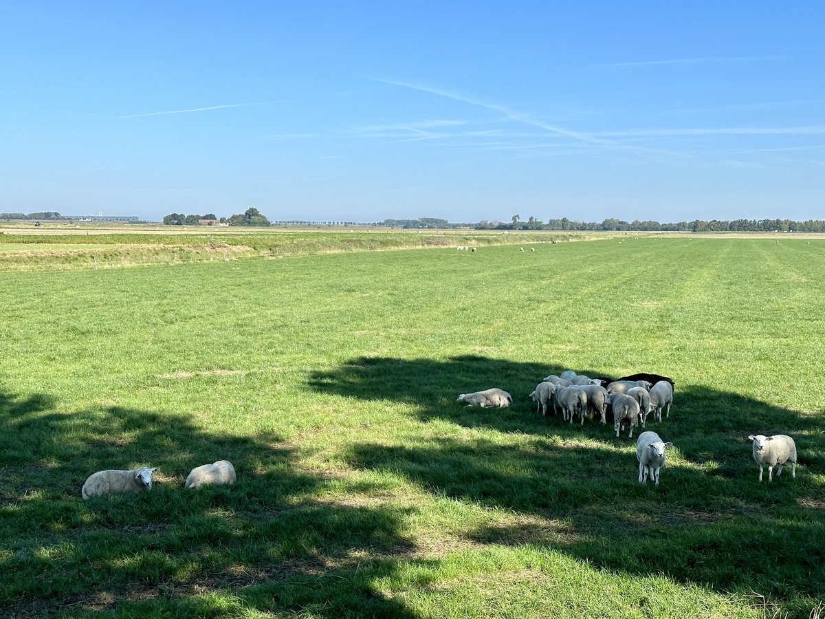 Erica van Leeuwen-de Bruijn tweet media